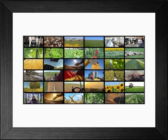 Framed Print : Agricultural Production Collage - Farming and Agricultural Jobs Framed Print : Agricultural Production Collage - Farming and Agricultural Jobs