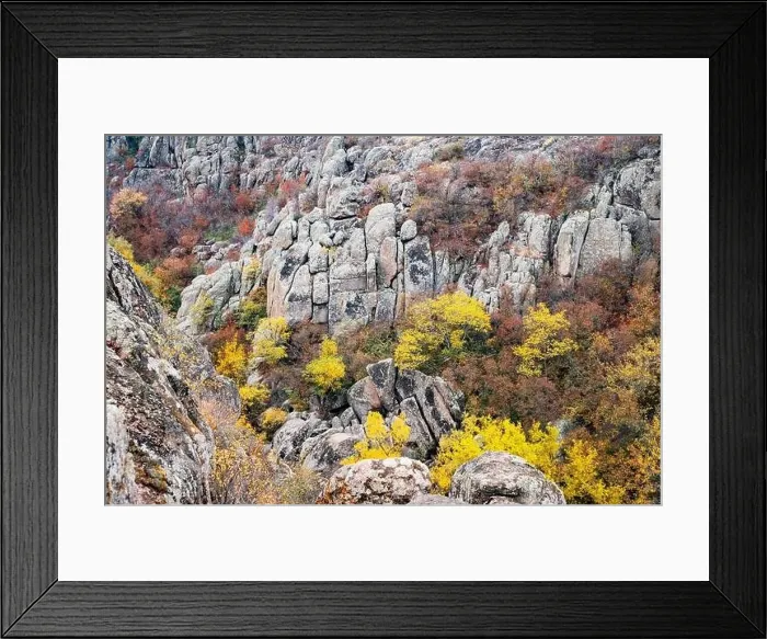 Framed Print : Aktovsky Canyon, Ukraine. Autumn trees and large stone boulders around Framed Print : Aktovsky Canyon, Ukraine. Autumn trees and large stone boulders around