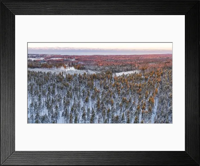 Framed Print : Snow covered winter forest view from drone during sunrise Framed Print : Snow covered winter forest view from drone during sunrise