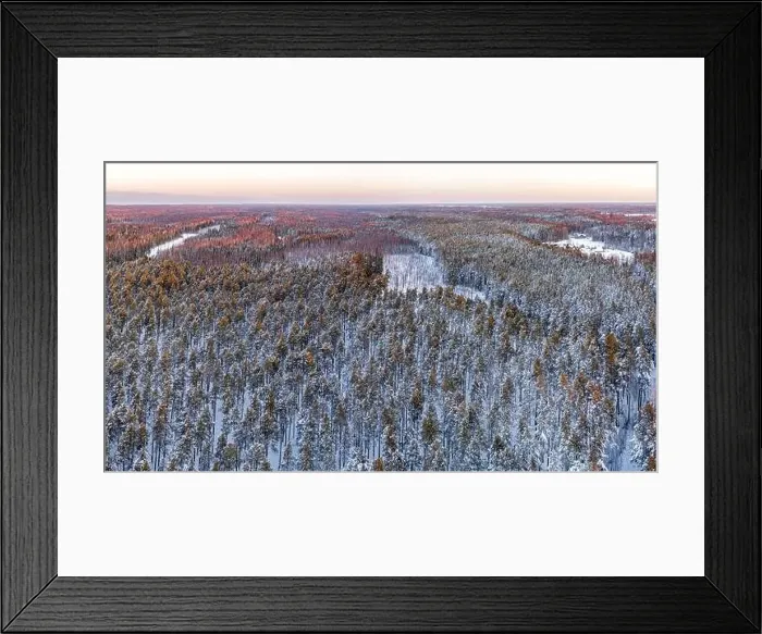 Framed Print : Snow covered winter forest view from drone during sunrise Framed Print : Snow covered winter forest view from drone during sunrise