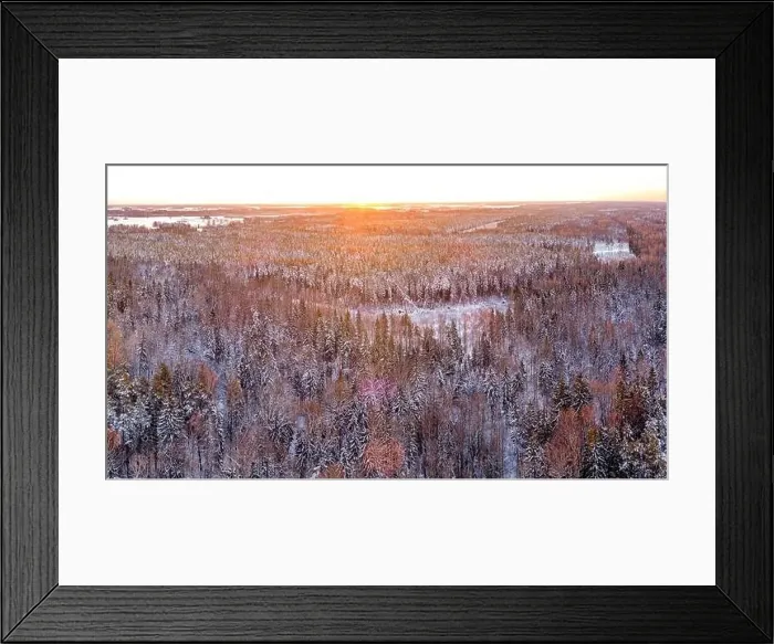 Framed Print : Snow covered winter forest view from drone during sunrise Framed Print : Snow covered winter forest view from drone during sunrise
