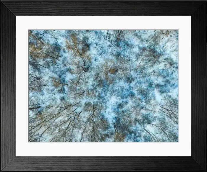 Framed Print : Aerial view from above of winter forest covered in snow Framed Print : Aerial view from above of winter forest covered in snow