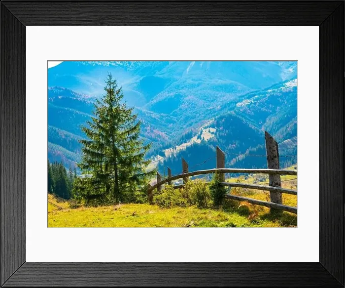 Framed Print : Bewitching beautiful summer landscape of a green meadow on a hill overlooking a dense coniferous forest Framed Print : Bewitching beautiful summer landscape of a green meadow on a hill overlooking a dense coniferous forest