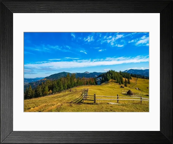 Framed Print : Bewitching beautiful summer landscape of a green meadow on a hill overlooking a dense coniferous forest Framed Print : Bewitching beautiful summer landscape of a green meadow on a hill overlooking a dense coniferous forest