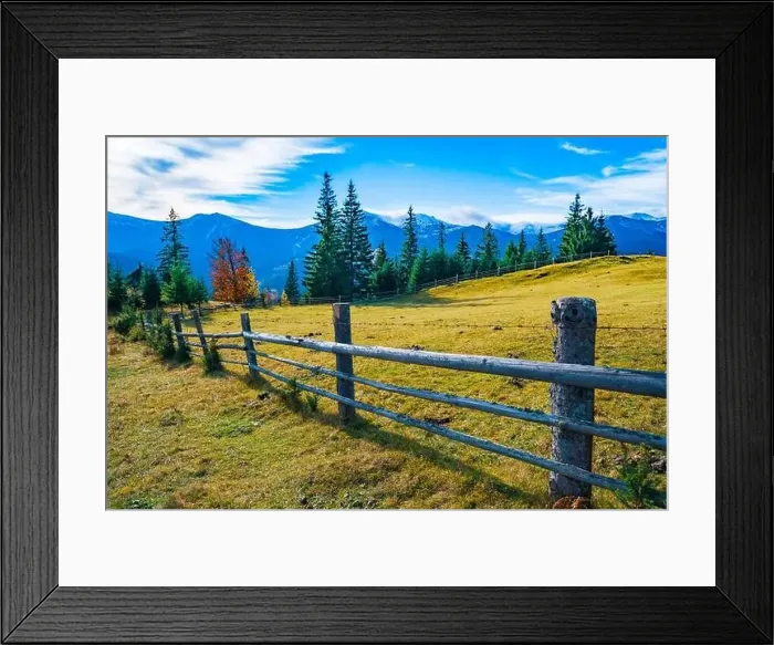 Framed Print : Bewitching beautiful summer landscape of a green meadow on a hill overlooking a dense coniferous forest Framed Print : Bewitching beautiful summer landscape of a green meadow on a hill overlooking a dense coniferous forest