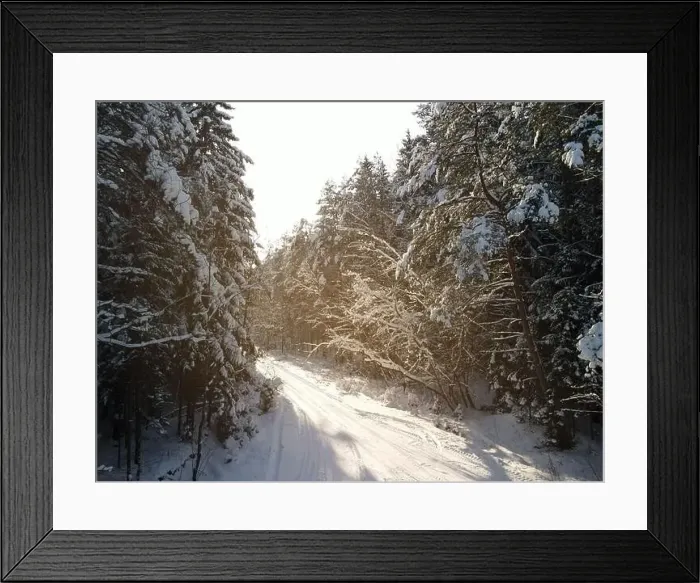 Framed Print : photo from a flying drone, a small planet and a winter landscape, pines and spruces are covered with snow Framed Print : photo from a flying drone, a small planet and a winter landscape, pines and spruces are covered with snow