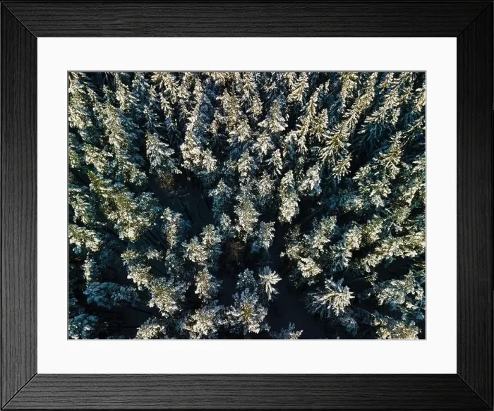 Framed Print : photo from a flying drone, a small planet and a winter landscape, pines and spruces are covered with snow Framed Print : photo from a flying drone, a small planet and a winter landscape, pines and spruces are covered with snow