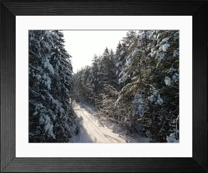 Framed Print : photo from a flying drone, a small planet and a winter landscape, pines and spruces are covered with snow Framed Print : photo from a flying drone, a small planet and a winter landscape, pines and spruces are covered with snow