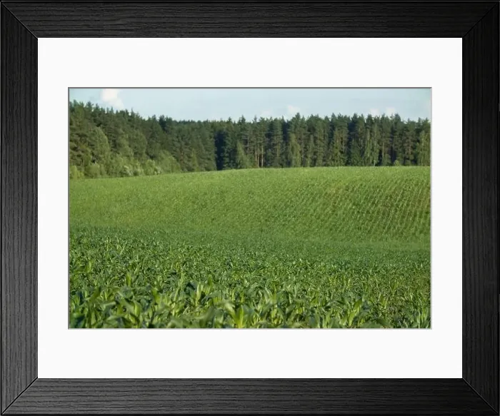 Framed Print : Landscape view from drone, yellow and green fields and haystacks