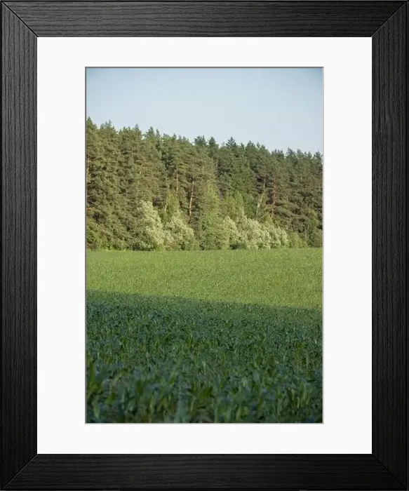 Framed Print : View from a flying drone, a field with green grass on a summer day. Textured background for design Framed Print : View from a flying drone, a field with green grass on a summer day. Textured background for design