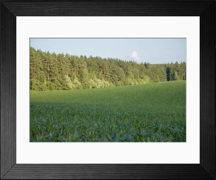 Framed Print : Landscape view from drone, yellow and green fields and haystacks