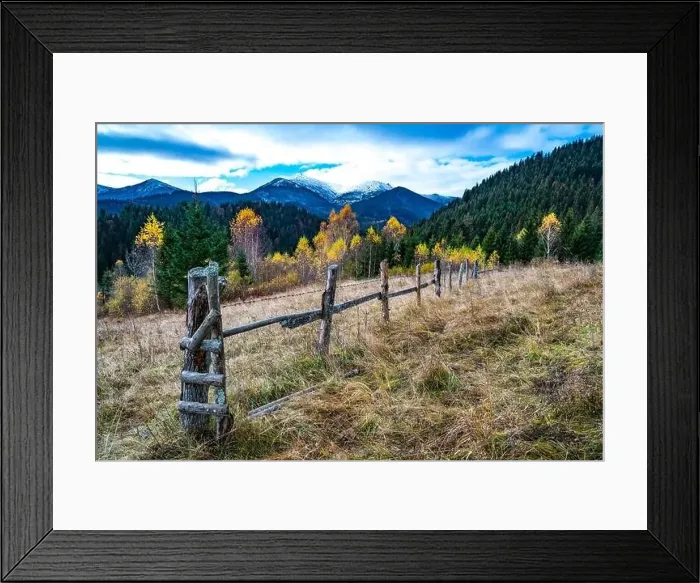Framed Print : Bewitching beautiful summer landscape of a green meadow on a hill overlooking a dense coniferous forest