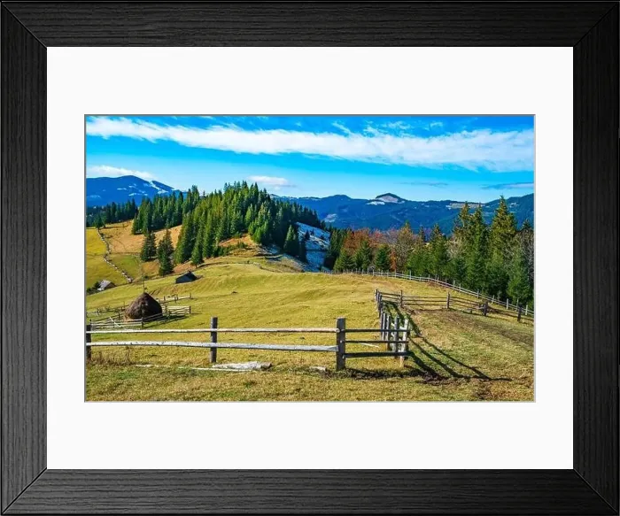Framed Print : Bewitching beautiful summer landscape of a green meadow on a hill overlooking a dense coniferous forest Framed Print : Bewitching beautiful summer landscape of a green meadow on a hill overlooking a dense coniferous forest