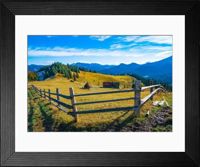 Framed Print : Bewitching beautiful summer landscape of a green meadow on a hill overlooking a dense coniferous forest Framed Print : Bewitching beautiful summer landscape of a green meadow on a hill overlooking a dense coniferous forest