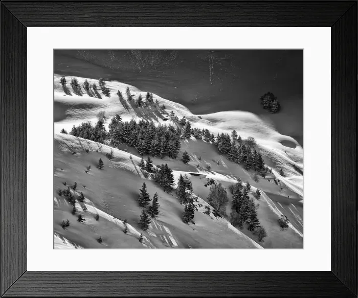 Framed Print : Black and white drone view of forest with evergreen trees growing on snowy slope in highlands in winter Framed Print : Black and white drone view of forest with evergreen trees growing on snowy slope in highlands in winter