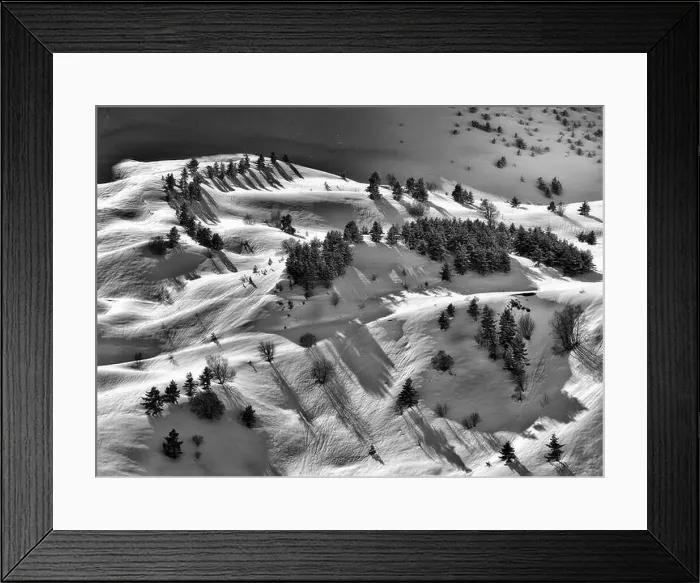 Framed Print : Black and white drone view of forest with evergreen trees growing on snowy slope in highlands in winter