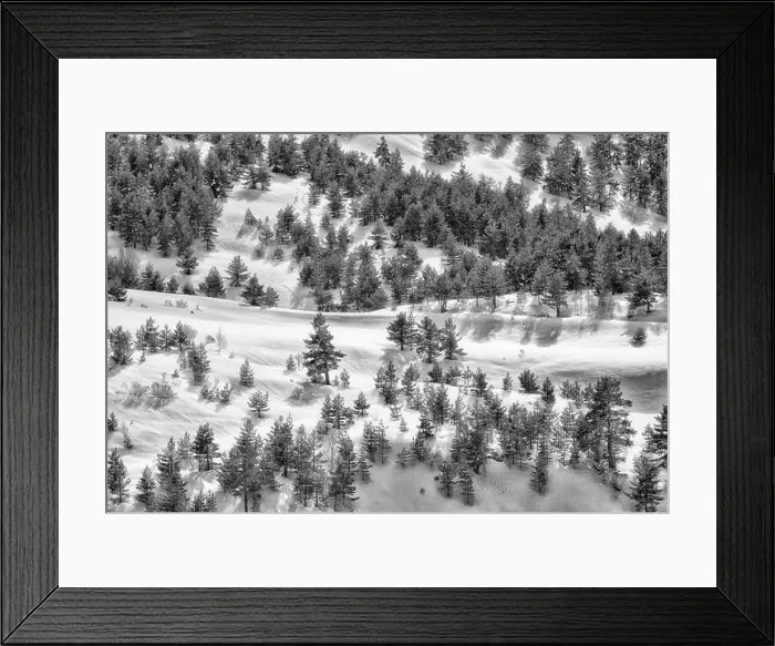Framed Print : Black and white drone view of forest with evergreen trees growing on snowy slope in highlands in winter Framed Print : Black and white drone view of forest with evergreen trees growing on snowy slope in highlands in winter