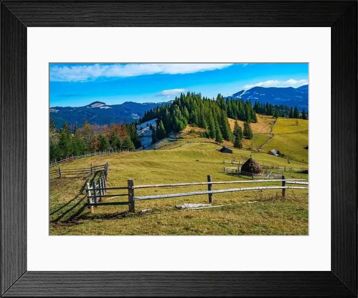 Framed Print : Bewitching beautiful summer landscape of a green meadow on a hill overlooking a dense coniferous forest Framed Print : Bewitching beautiful summer landscape of a green meadow on a hill overlooking a dense coniferous forest
