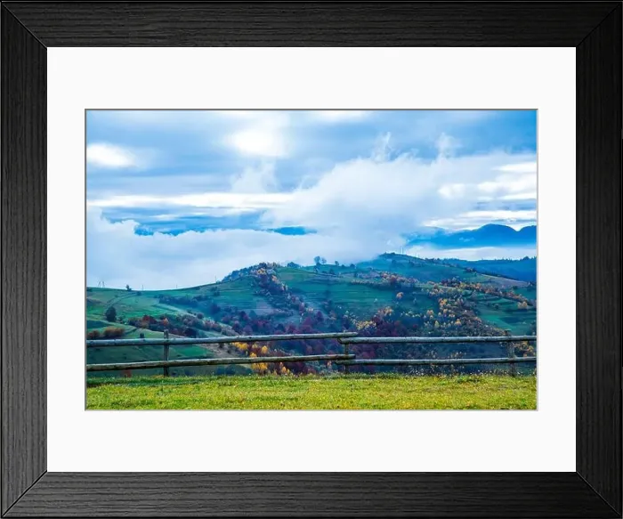 Framed Print : Bewitching beautiful summer landscape of a green meadow on a hill overlooking a dense coniferous forest Framed Print : Bewitching beautiful summer landscape of a green meadow on a hill overlooking a dense coniferous forest