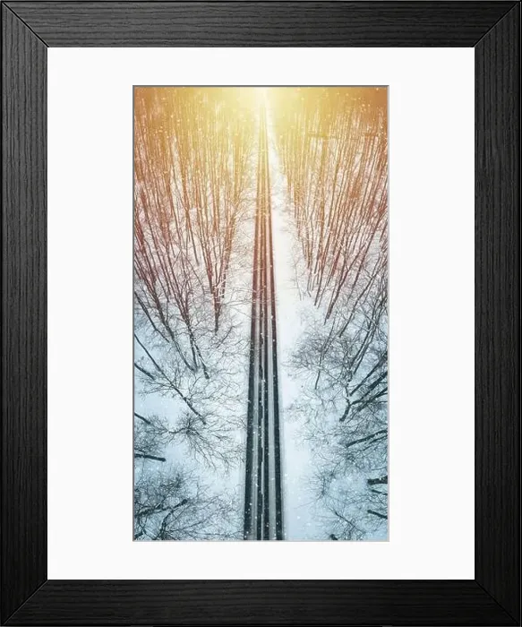 Framed Print : Road through winter forest