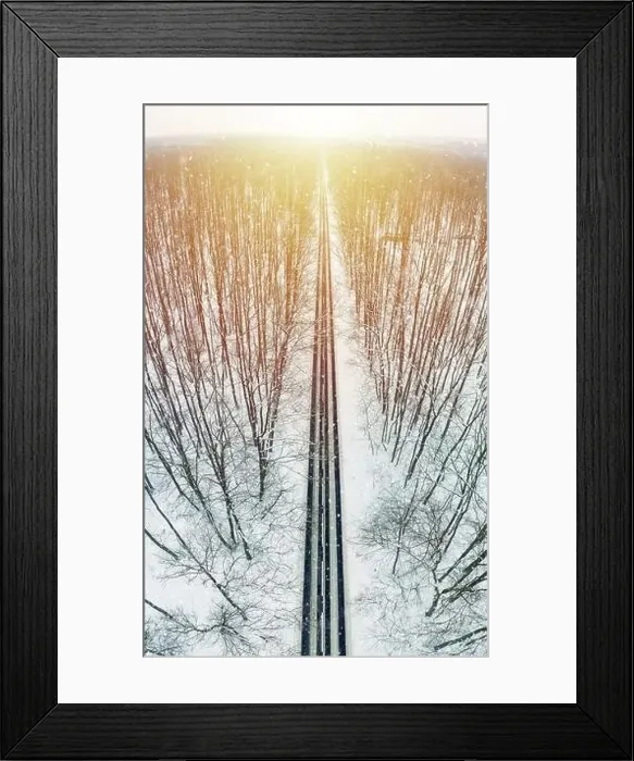 Framed Print : Road through winter forest Framed Print : Road through winter forest