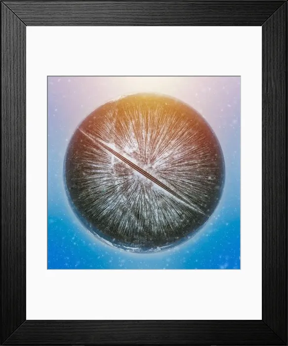 Framed Print : Road through winter forest Framed Print : Road through winter forest