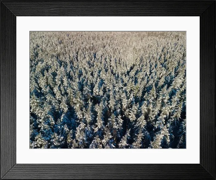 Framed Print : photo from a flying drone, a small planet and a winter landscape, pines and spruces are covered with snow Framed Print : photo from a flying drone, a small planet and a winter landscape, pines and spruces are covered with snow