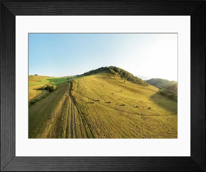 Framed Print : Drone view of autumn meadow hiils and forest. Aerial nature shot. Altai regoin, Russia Framed Print : Drone view of autumn meadow hiils and forest. Aerial nature shot. Altai regoin, Russia