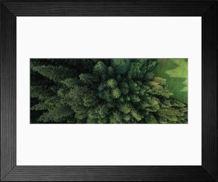 Framed Print : Aerial view of a green forest of pine trees and firs trees during a summer morning, northern Italy Framed Print : Aerial view of a green forest of pine trees and firs trees during a summer morning, northern Italy