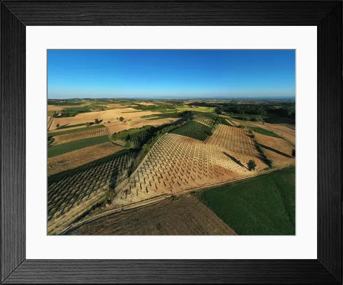 Framed Print : Aerial view of cultivated fields in Monferrato area during a sunny afternoon, Piedmont, northern Italy Framed Print : Aerial view of cultivated fields in Monferrato area during a sunny afternoon, Piedmont, northern Italy