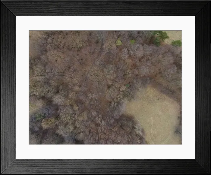 Framed Print : nice aerial drone image of the Vienna Woods in January in the afternoon
