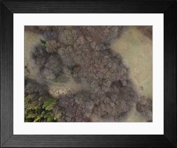Framed Print : nice aerial drone image of the Vienna Woods in January in the afternoon Framed Print : nice aerial drone image of the Vienna Woods in January in the afternoon