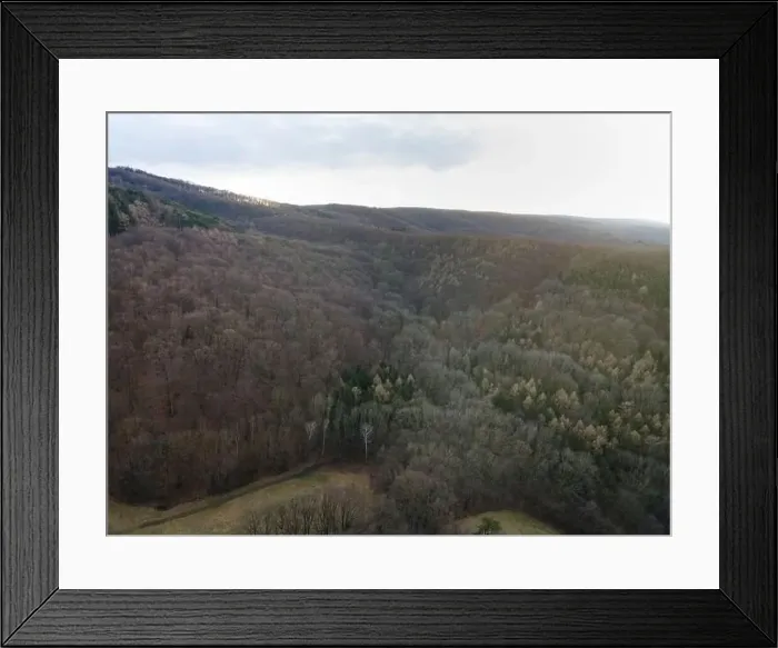 Framed Print : nice aerial drone image of the Vienna Woods in January in the afternoon Framed Print : nice aerial drone image of the Vienna Woods in January in the afternoon