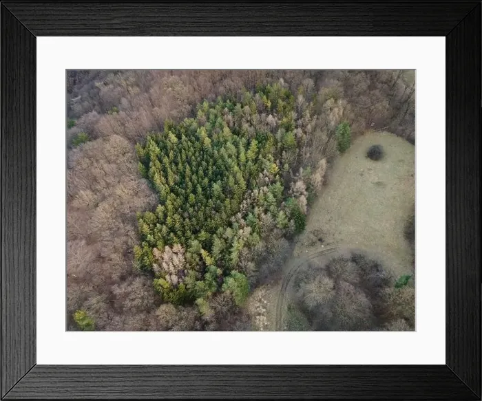 Framed Print : nice aerial drone image of the Vienna Woods in January in the afternoon Framed Print : nice aerial drone image of the Vienna Woods in January in the afternoon