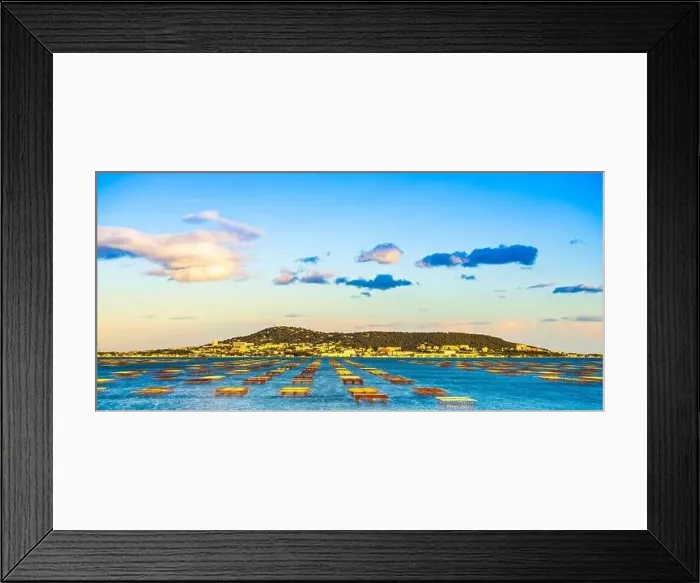 Framed Print : Oyster park in the pond of Thau and Sete, France Framed Print : Oyster park in the pond of Thau and Sete, France
