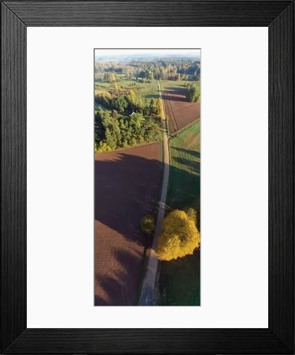 Framed Print : Autumn gravel road in nature park, aerial Framed Print : Autumn gravel road in nature park, aerial