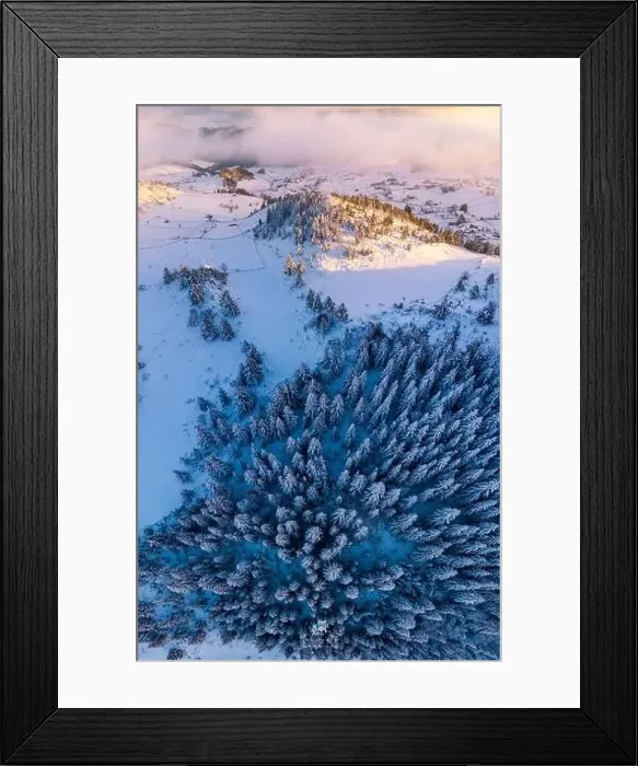 Framed Print : Rolling Clouds At Dense Spruce Coniferous Forest On Snowy White Hill Slope In Winter During Sunset Framed Print : Rolling Clouds At Dense Spruce Coniferous Forest On Snowy White Hill Slope In Winter During Sunset