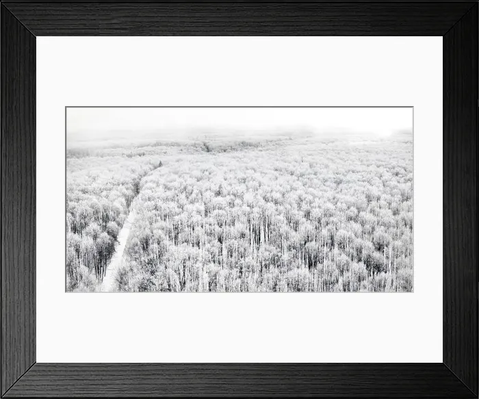 Framed Print : Aerial view of a road cutting through a snowy forest on a cloudy day Framed Print : Aerial view of a road cutting through a snowy forest on a cloudy day