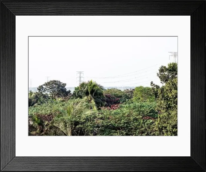 Framed Print : Aerial view of a village green jungle Framed Print : Aerial view of a village green jungle