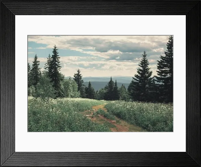 Framed Print : Wild national Park in the middle of Russia Framed Print : Wild national Park in the middle of Russia