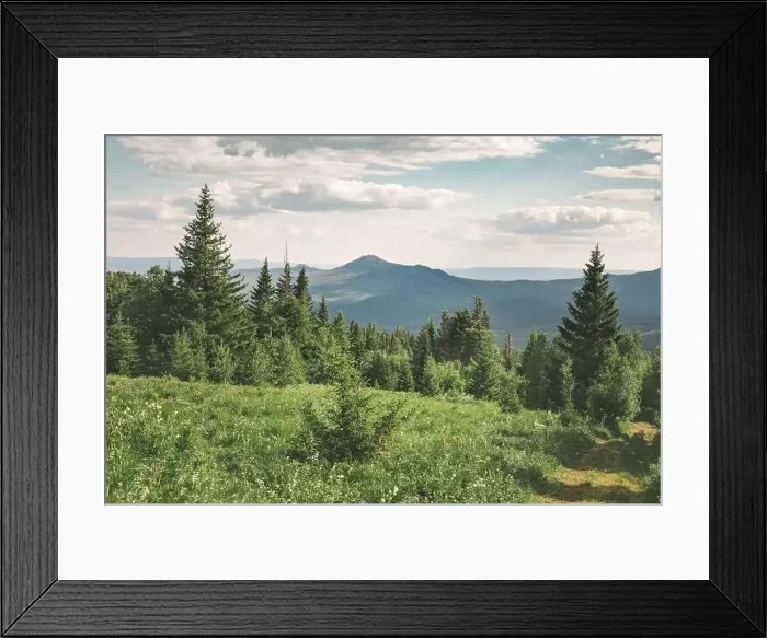 Framed Print : Wild national Park in the middle of Russia Framed Print : Wild national Park in the middle of Russia