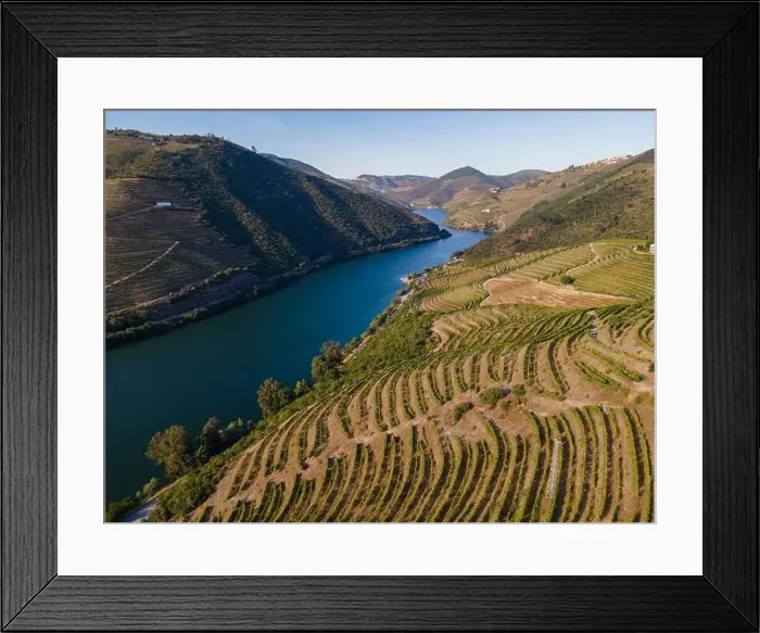 Framed Print : Douro Valley near Peso da Régua Framed Print : Douro Valley near Peso da Régua