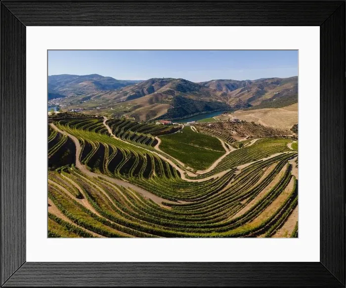Framed Print : Douro Valley near Pinhão Framed Print : Douro Valley near Pinhão