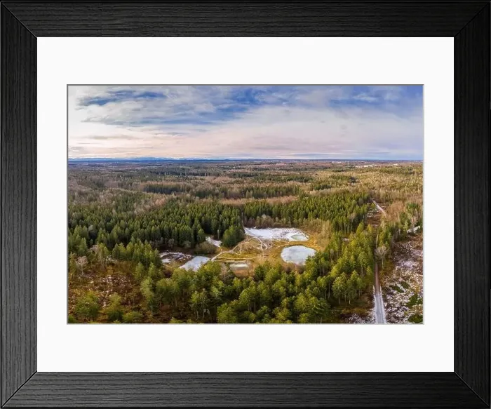 Framed Print : Aerial view of a small lakes inside a forest with conifer trees Framed Print : Aerial view of a small lakes inside a forest with conifer trees