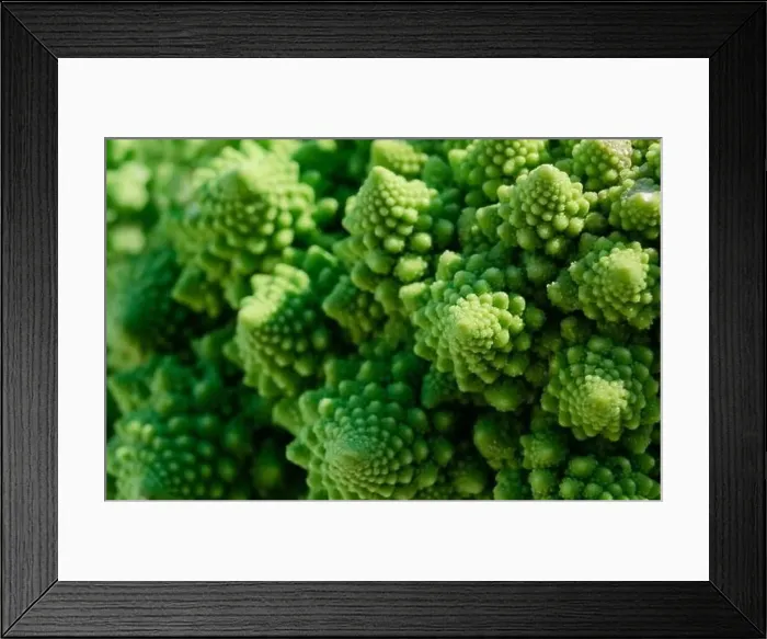 Framed Print : Closeup and selective focus on a Romanesco broccoli or Roman cauliflower Framed Print : Closeup and selective focus on a Romanesco broccoli or Roman cauliflower