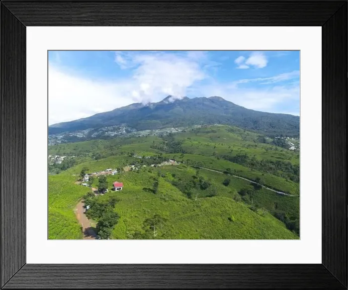 Framed Print : Aerial view of tea plantation in Kemuning, Indonesia with Lawu mountain background Framed Print : Aerial view of tea plantation in Kemuning, Indonesia with Lawu mountain background