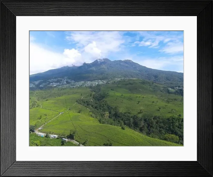 Framed Print : Aerial view of tea plantation in Kemuning, Indonesia with Lawu mountain background Framed Print : Aerial view of tea plantation in Kemuning, Indonesia with Lawu mountain background