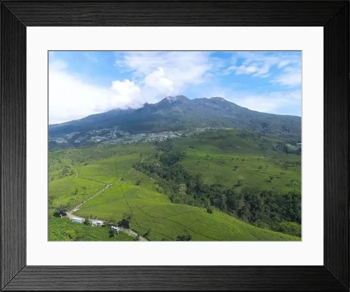 Framed Print : Aerial view of tea plantation in Kemuning, Indonesia with Lawu mountain background Framed Print : Aerial view of tea plantation in Kemuning, Indonesia with Lawu mountain background