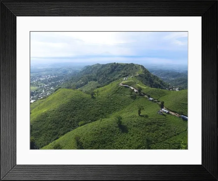 Framed Print : Aerial view of tea plantation in Kemuning, Indonesia with Lawu mountain background Framed Print : Aerial view of tea plantation in Kemuning, Indonesia with Lawu mountain background
