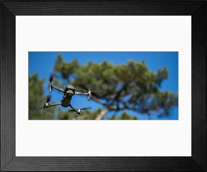 Framed Print : Piloting drone in the forest in the morning with clear blue sky Framed Print : Piloting drone in the forest in the morning with clear blue sky